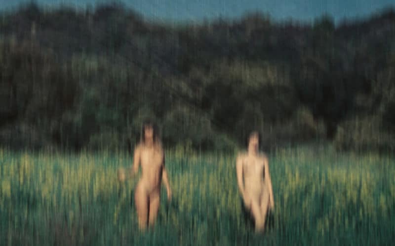 © Tristan Hollingsworth