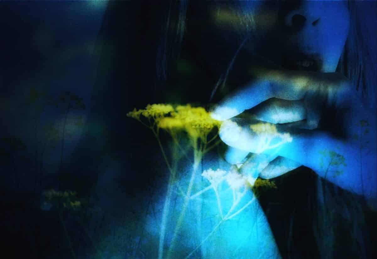 © Celine