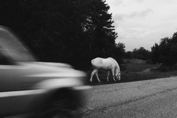 © Francesco Lopazio