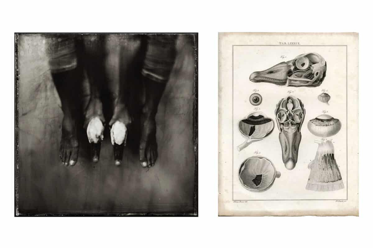 © Karoline Schneider