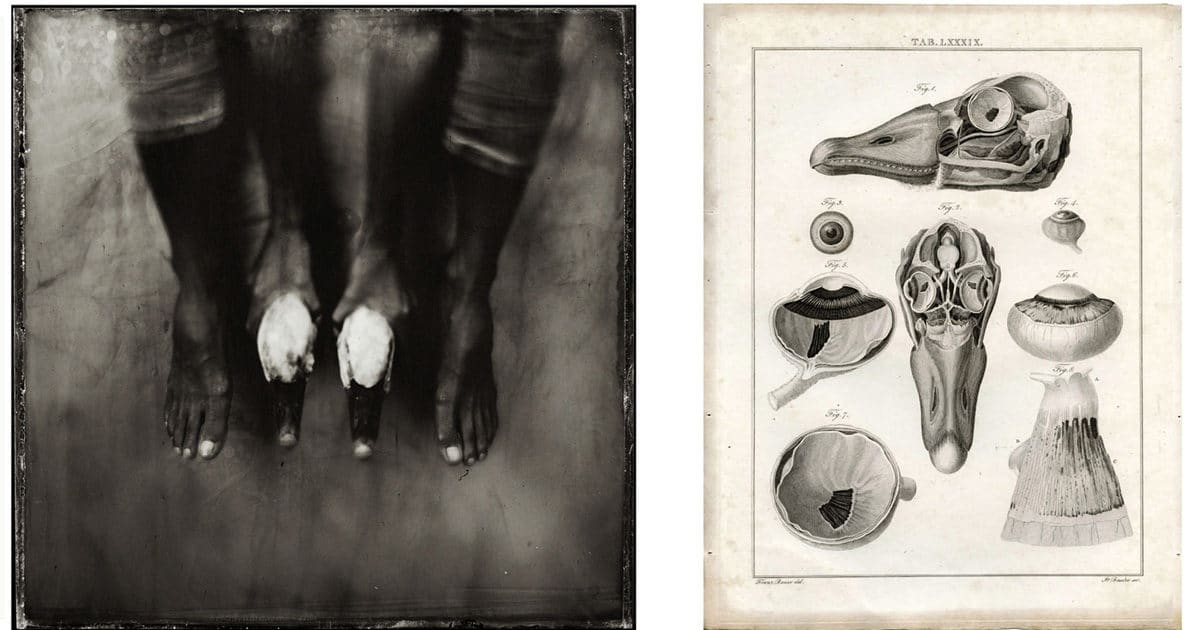 © Karoline Schneider