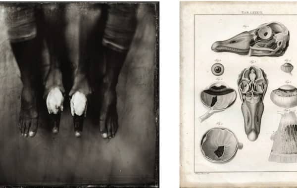 © Karoline Schneider