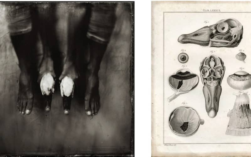 © Karoline Schneider