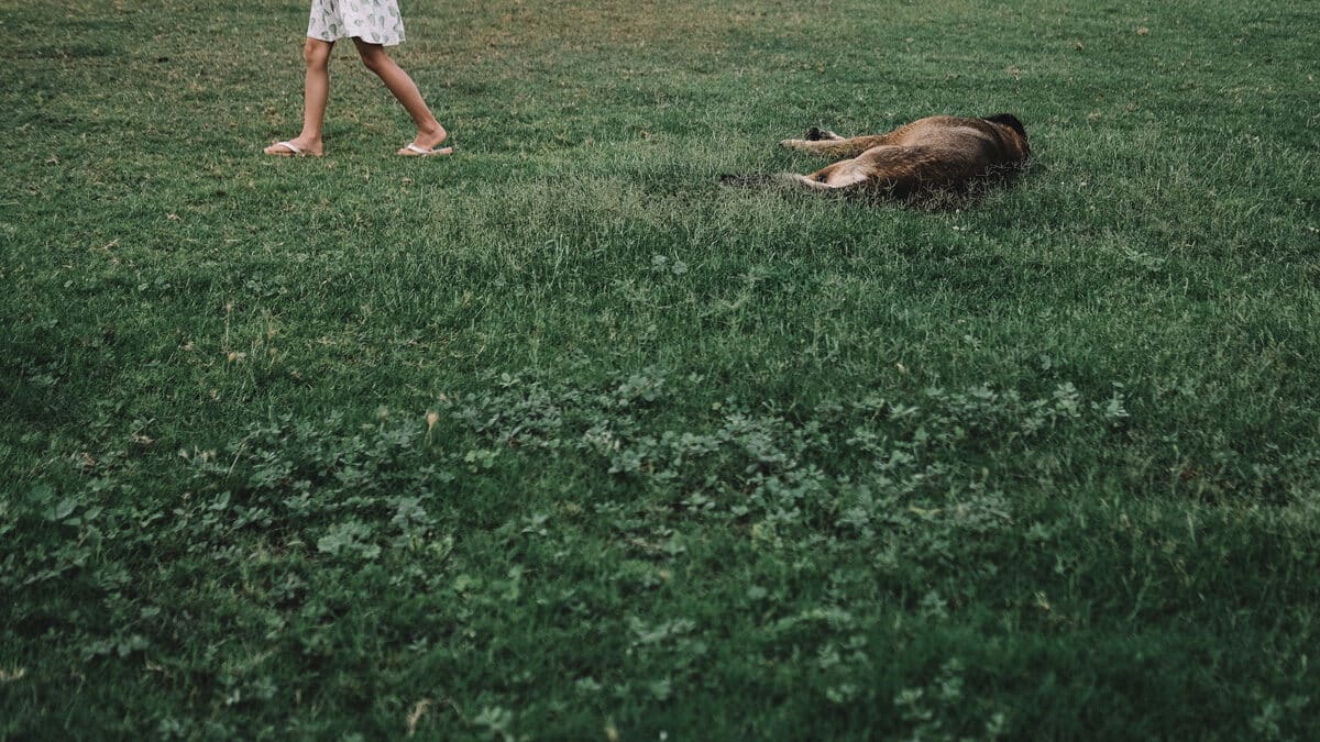 © Yoann Buetas