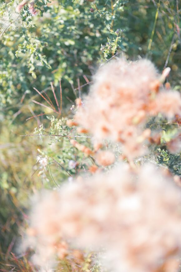 "Le jour sans fin" © Alessia Rollo