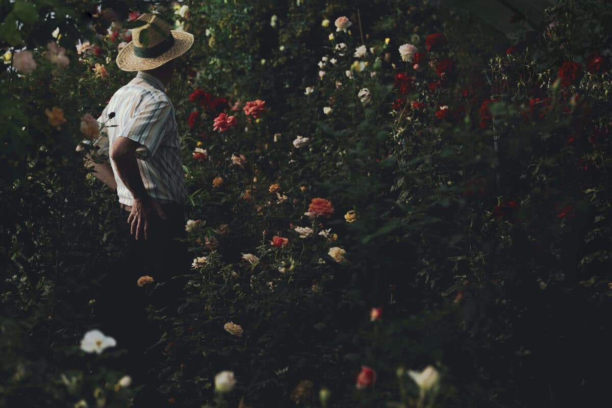 "Le jour sans fin" © Alessia Rollo