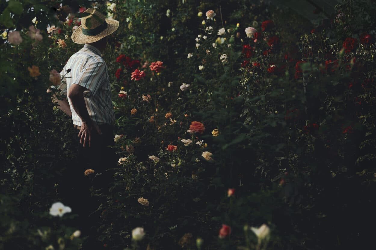 Le jour sans fin © Alessia Rollo