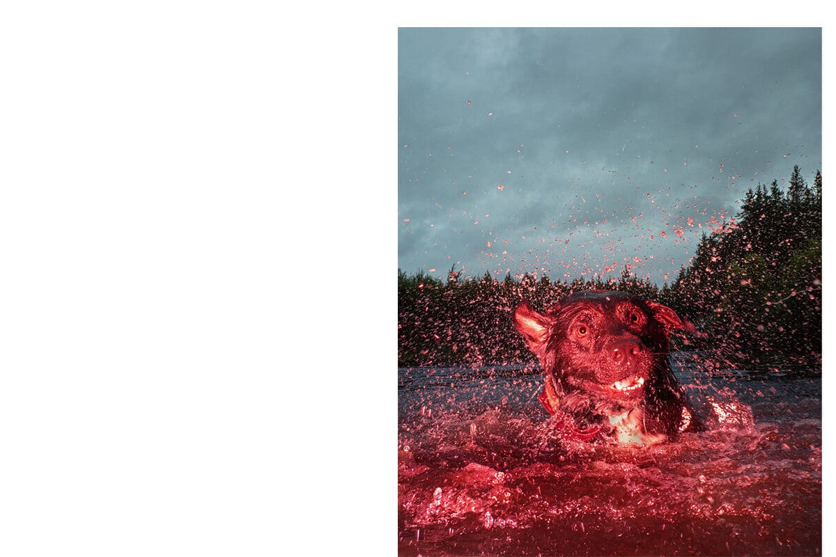 © Benoit Paillé