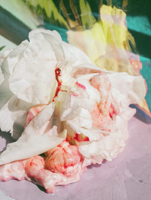 © Lucile Boiron