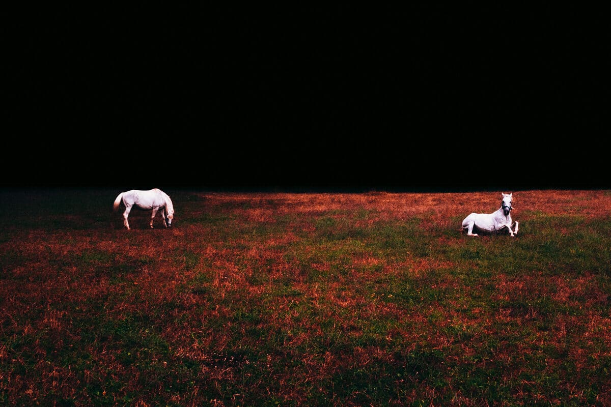 © Giacomo Mancini