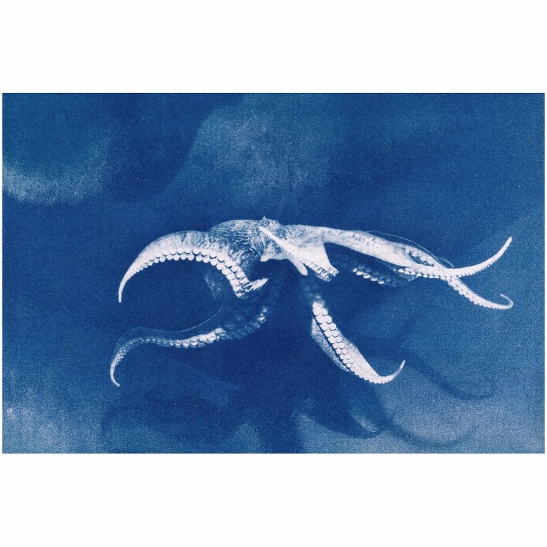 © Julia Castel