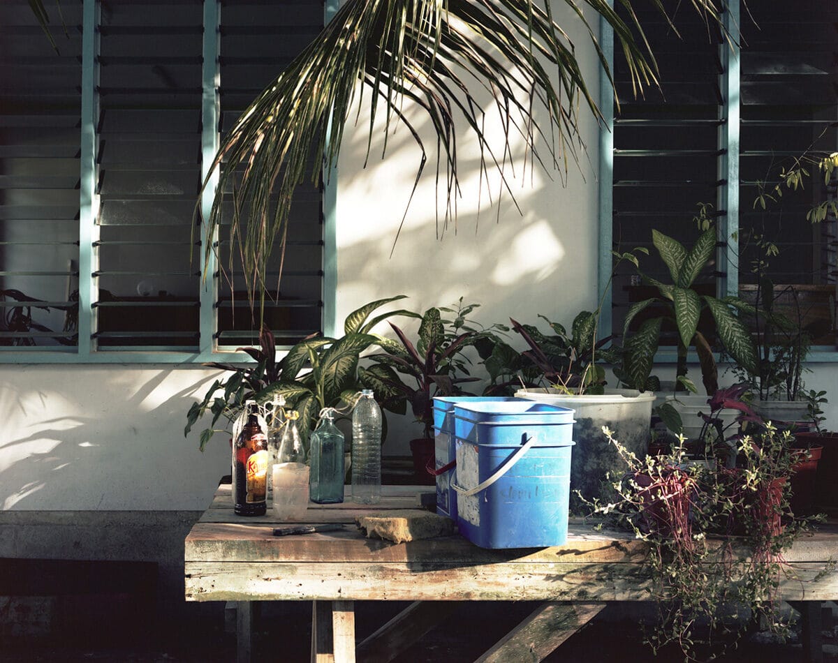 © Julia de Cooker