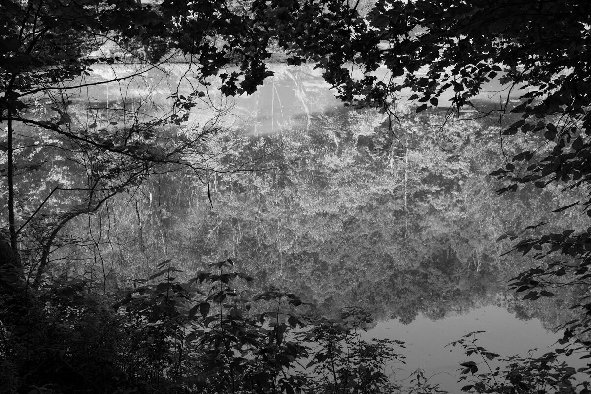 © Kristine Potter