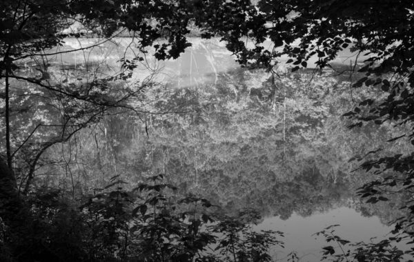 © Kristine Potter