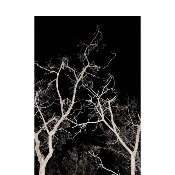 © Romain Bagnard
