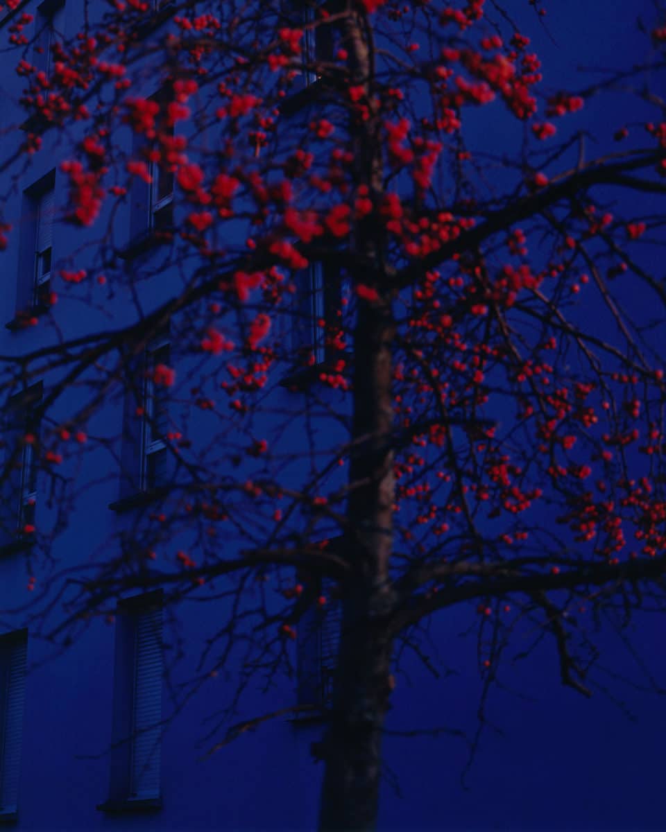 © Alexandre Silberman