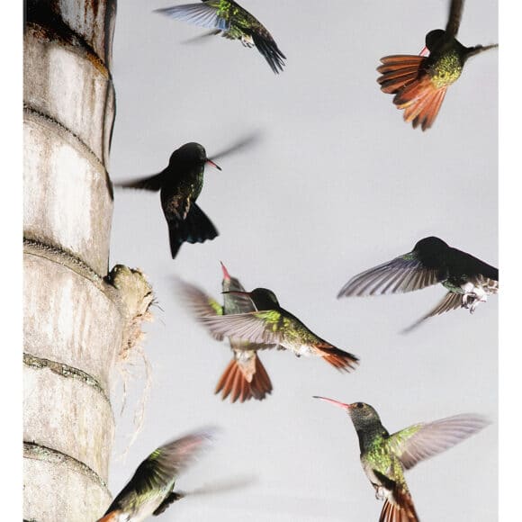 © Tonje Thilesen