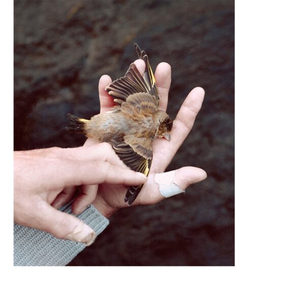 © Tonje Thilesen