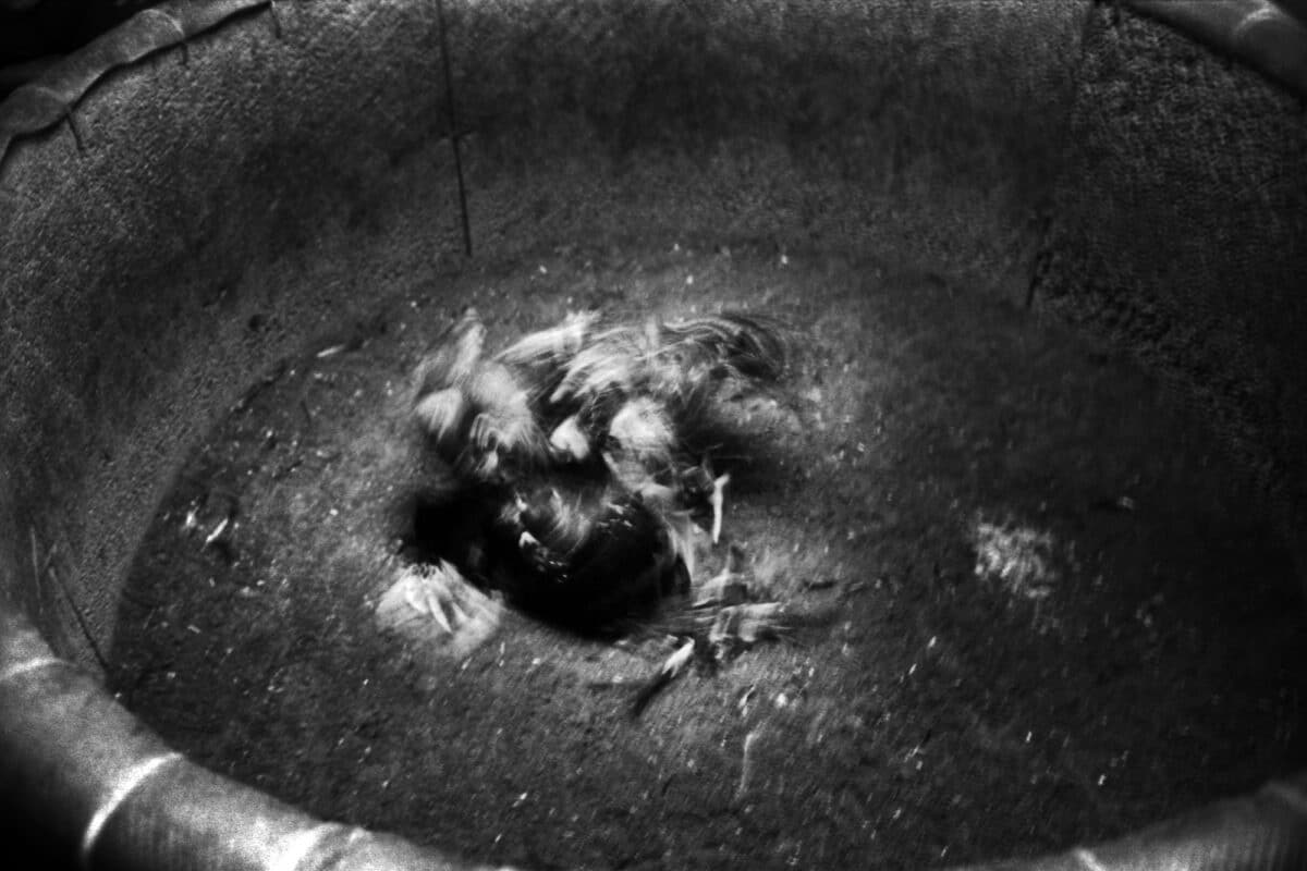© Kosuke Okahara