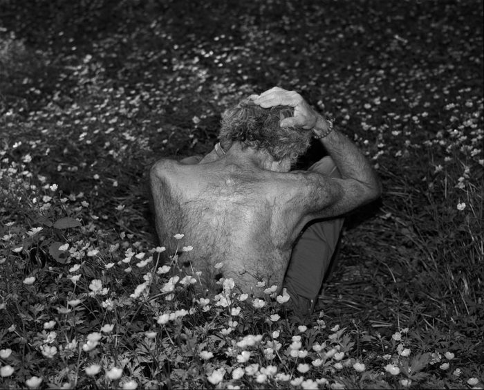 © Paul Guilmoth