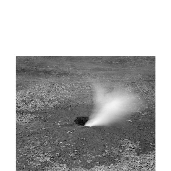 © Paul Guilmoth