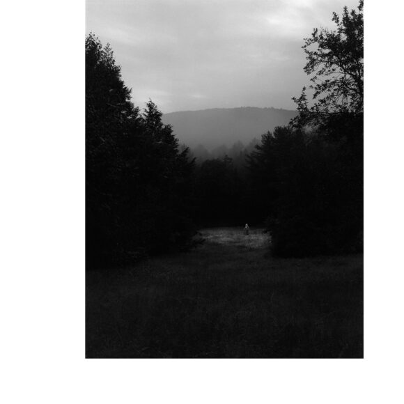 © Paul Guilmoth