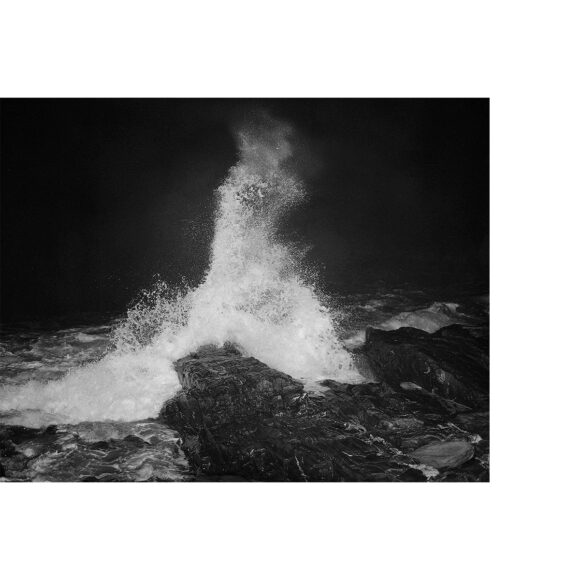 © Paul Guilmoth
