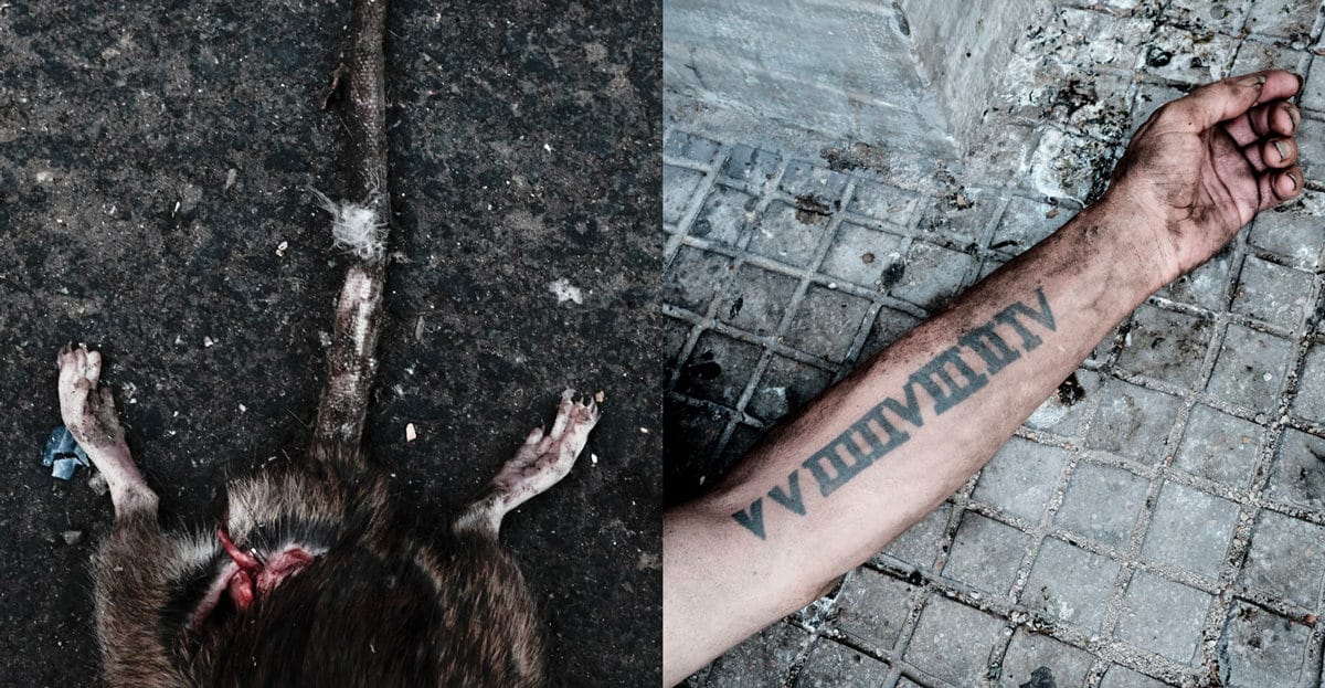 © Romain Bagnard