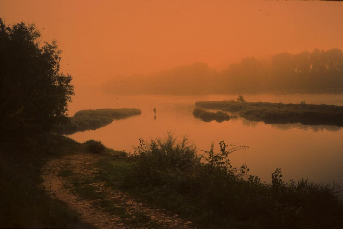 © Arno Brignon