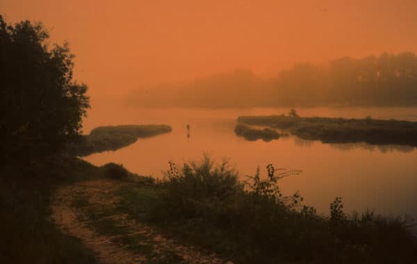 © Arno Brignon