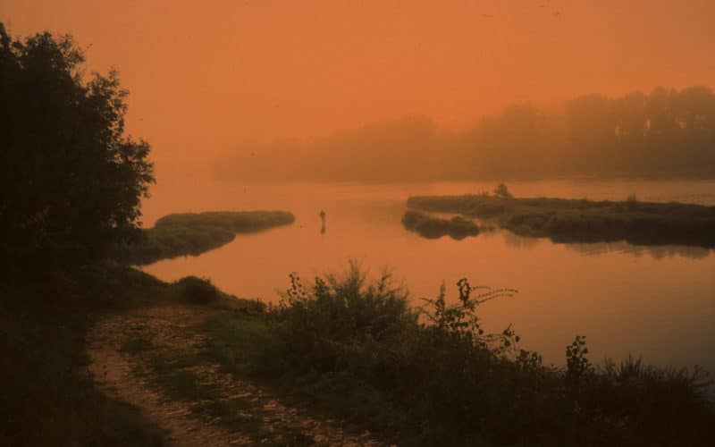 © Arno Brignon