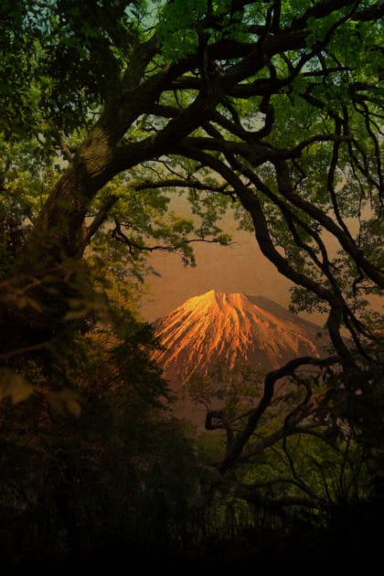 © Albarrán Cabrera