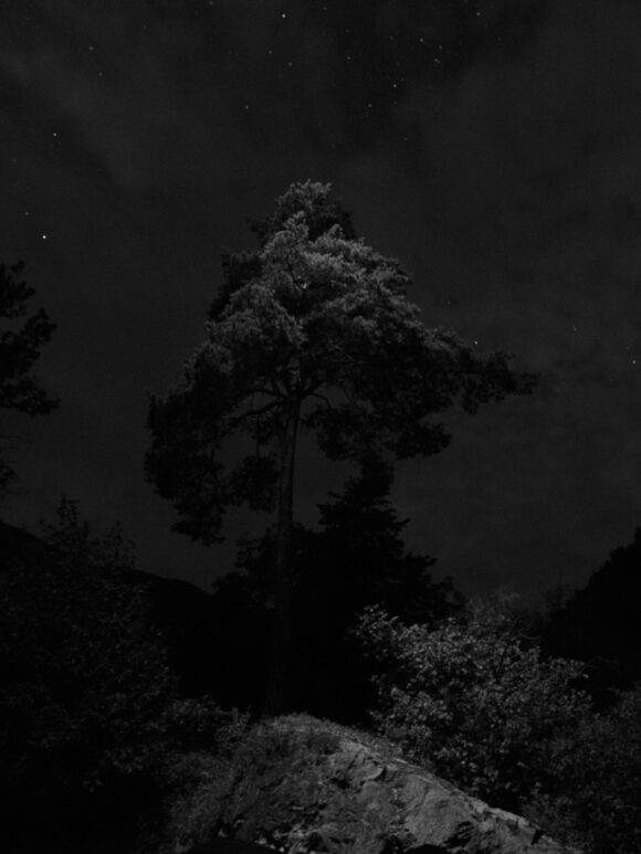 © Eleonora Strano