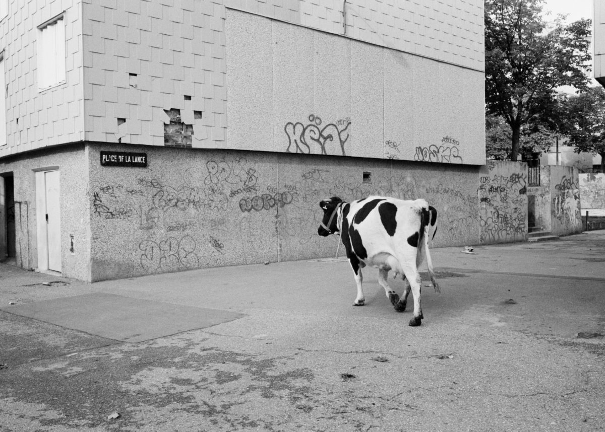 © Gilles Favier