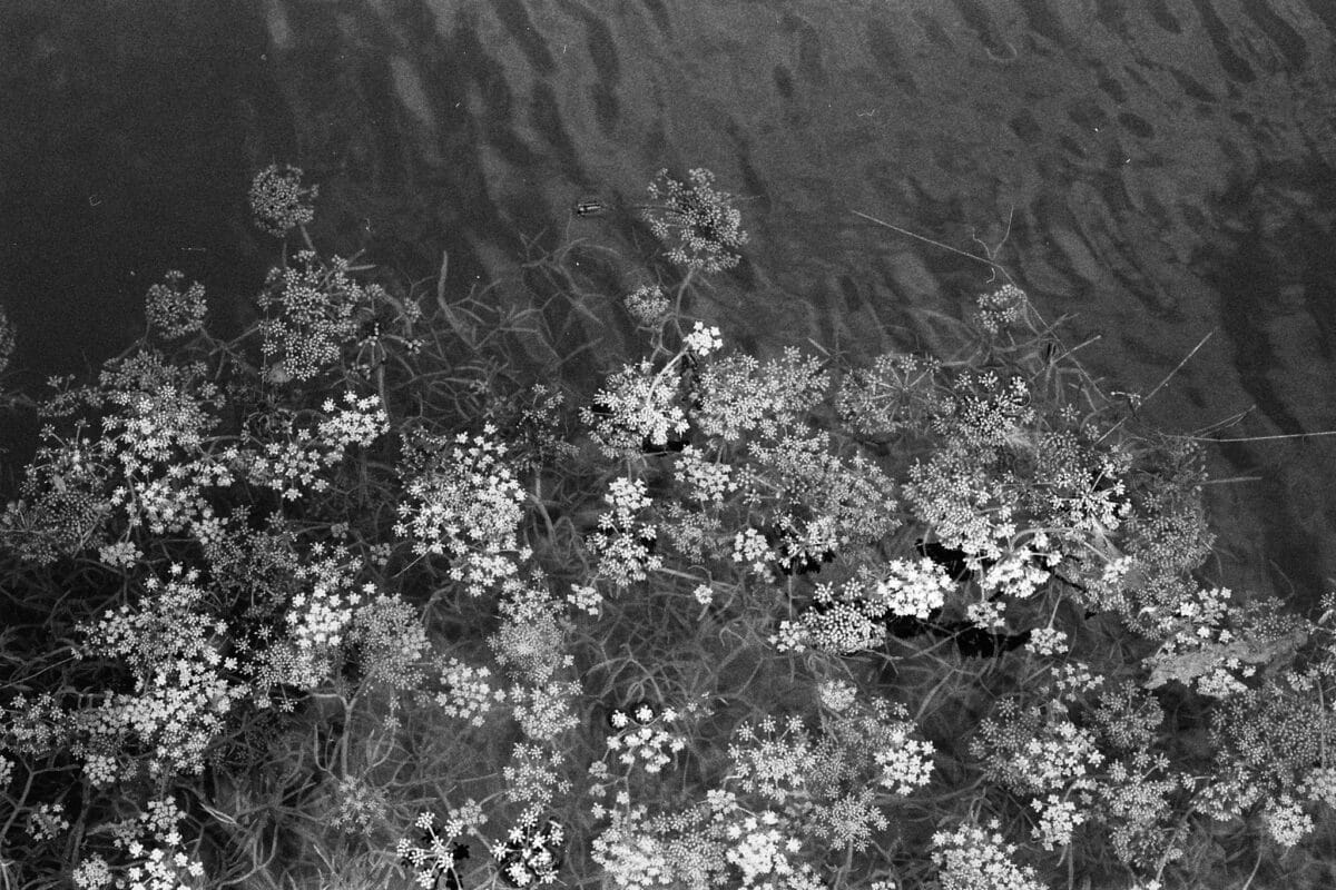 © Léa Treuil