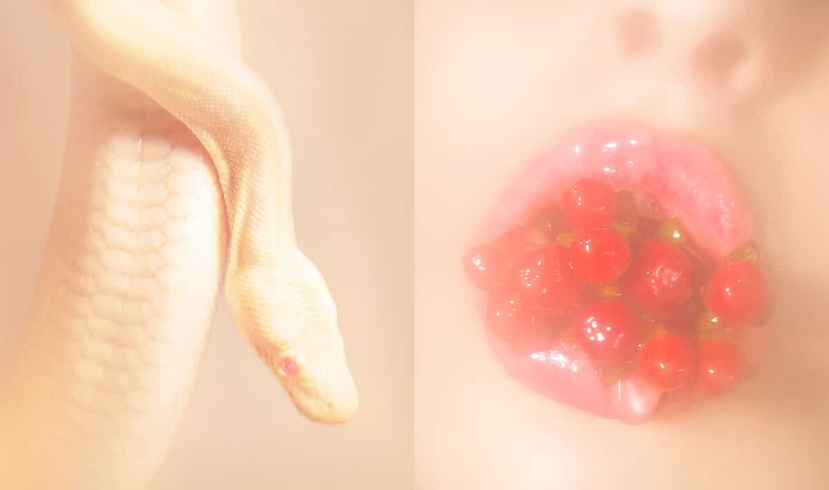 © Margaux Corda