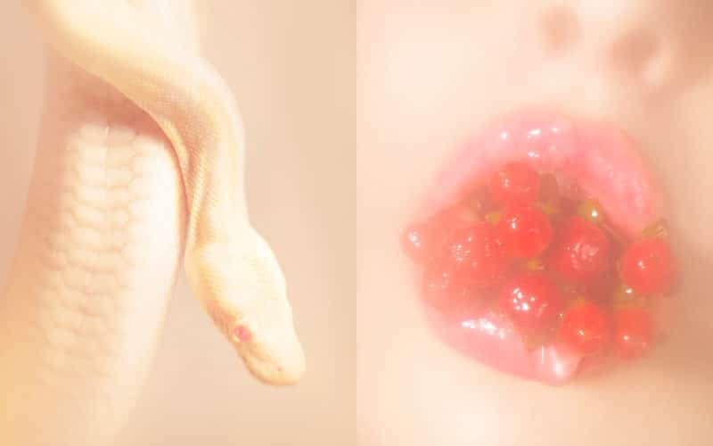 © Margaux Corda