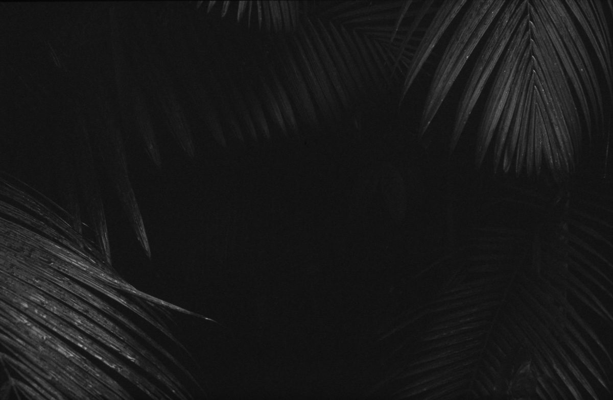 © Matthieu Marre