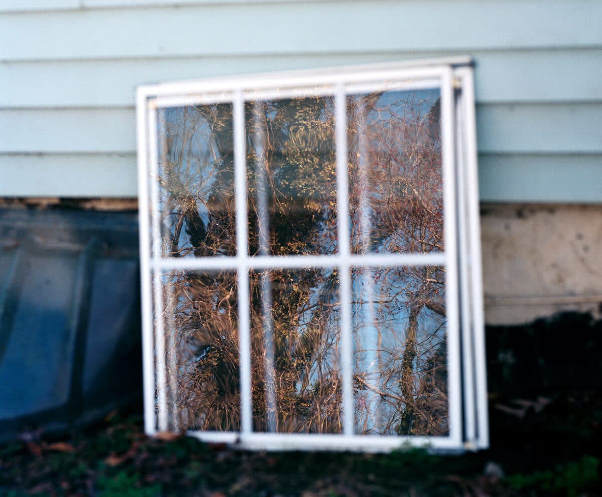 © Will Harris