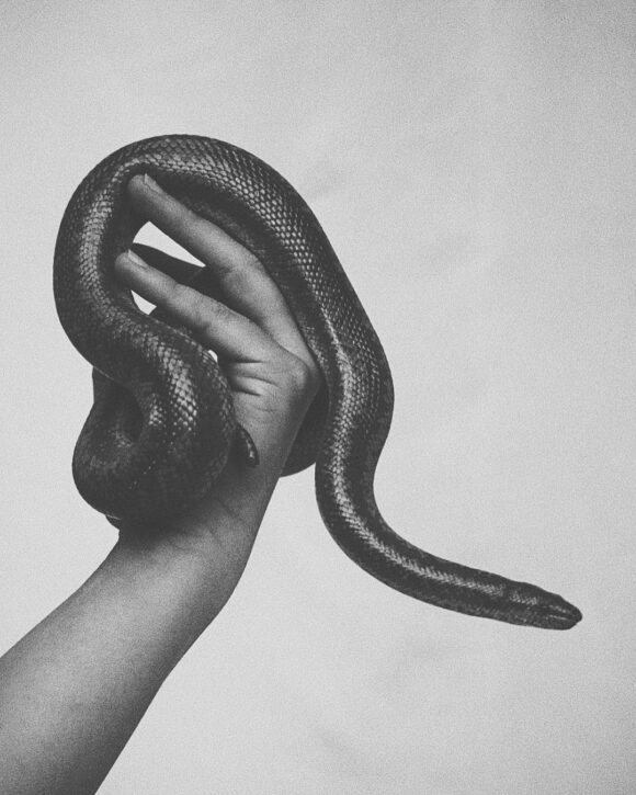 © eme.amala / Instagram