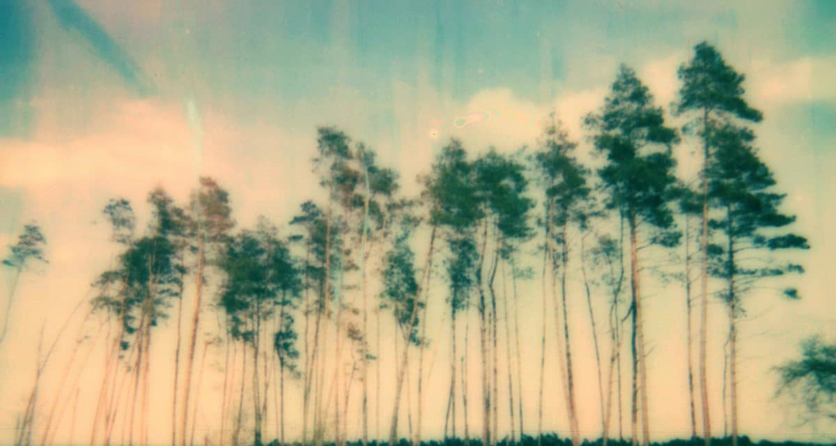 © Marie Cannella