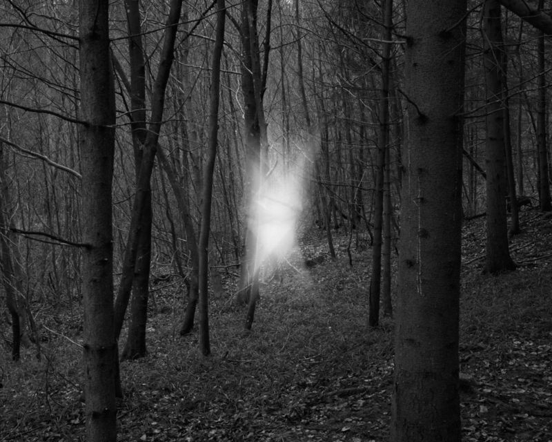 © Diego Brambilla