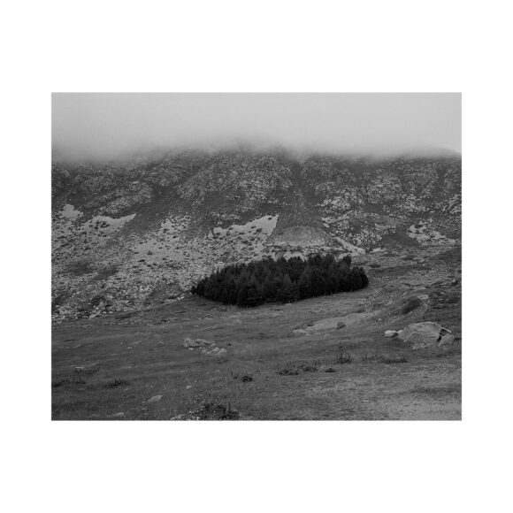© Diego Brambilla