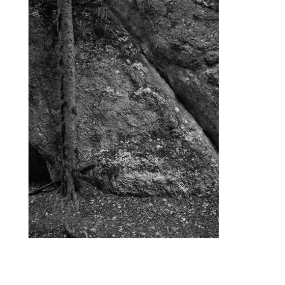 © Diego Brambilla