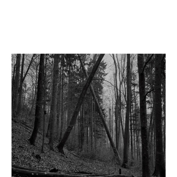 © Diego Brambilla