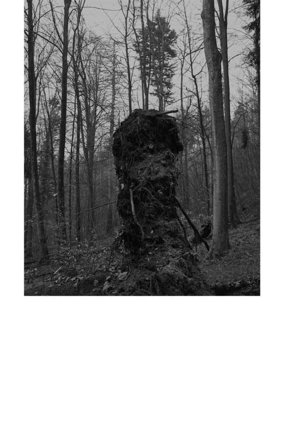 © Diego Brambilla