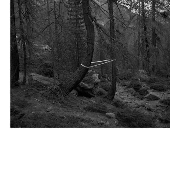 © Diego Brambilla