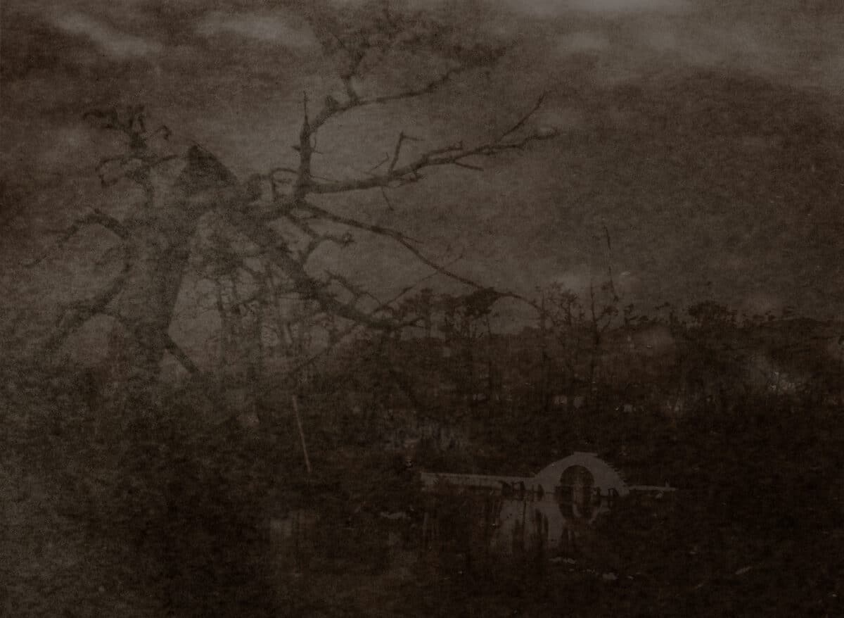 © Yoshikatsu Fujii