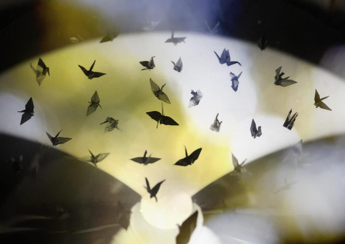 © Yoshikatsu Fujii