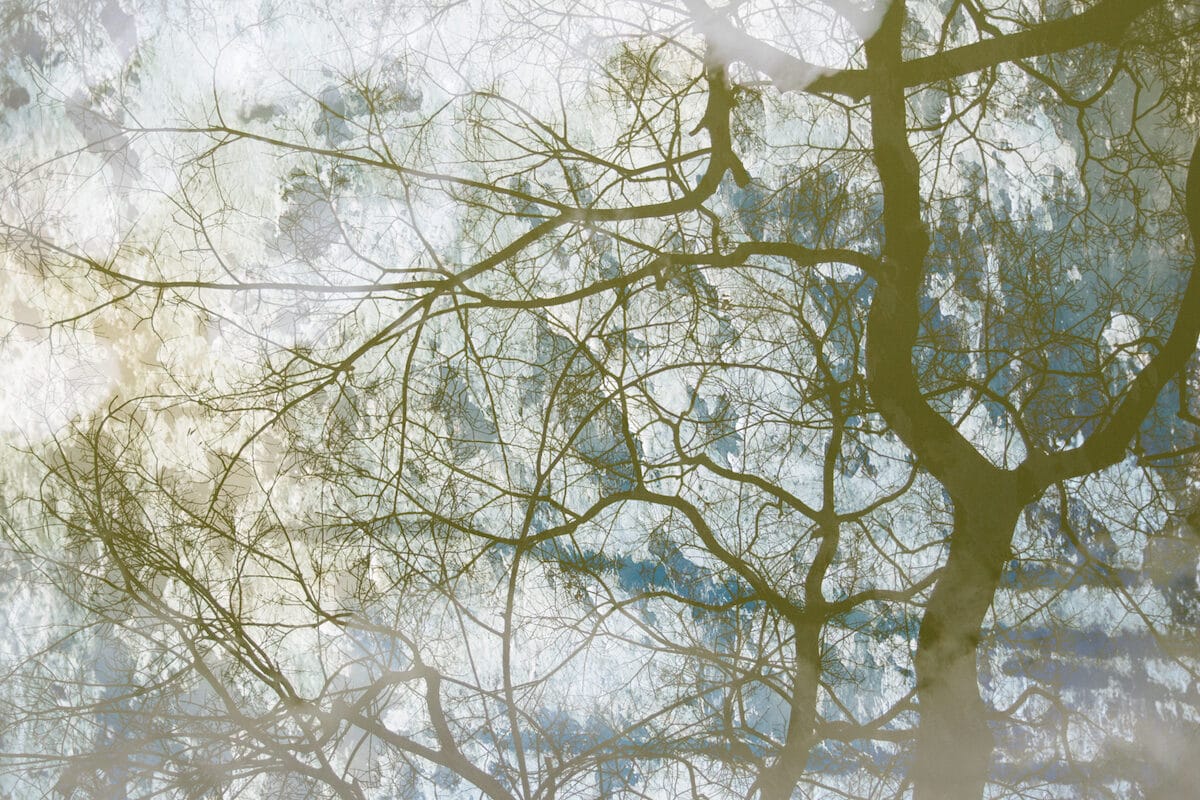 © Yoshikatsu Fujii